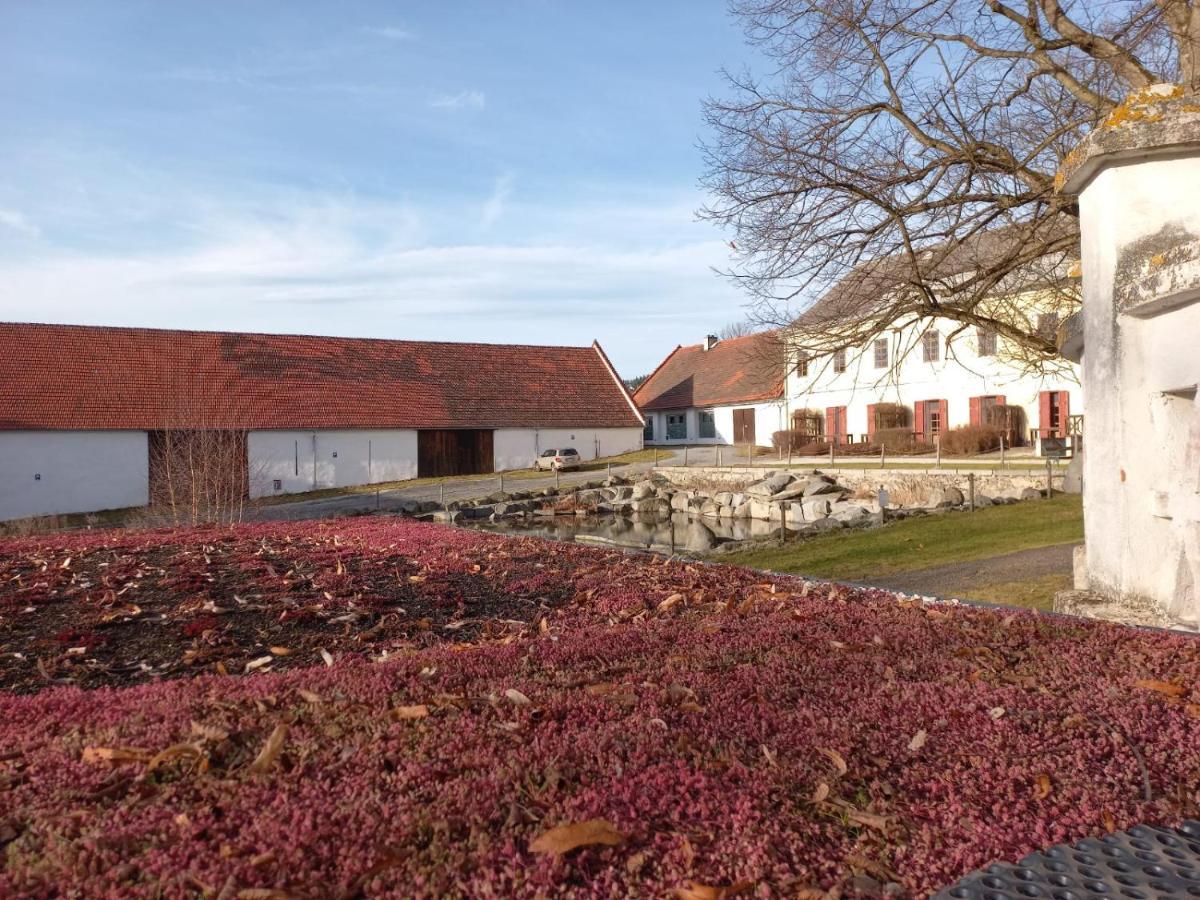 Holidaypark Mlazovy Kolinec Eksteriør bilde